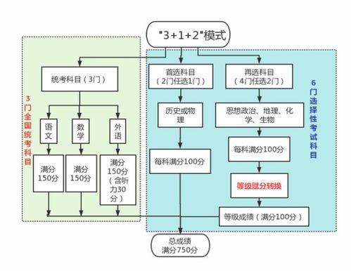 2024新奥马新免费资料|解析机构预测的实施策略_解谜集.1.910