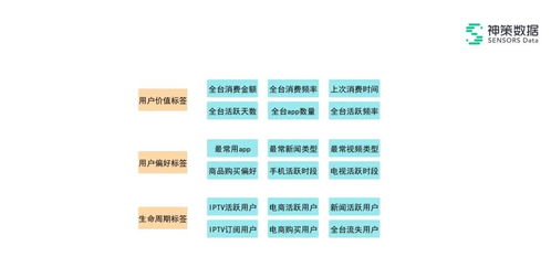 2024澳门六开奖彩查询记录|数据解答解释落实_解密版.4.940