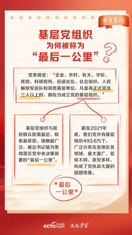 澳门天天开好彩大全网|解析关键问题的重要性与实施策略_Prime.7.987