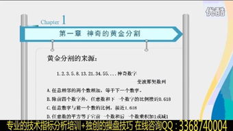 2024澳门六开彩开奖结果查询|探索城市的秘密角落_娱乐版BT.9.743